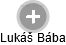 Lukáš Bába - Vizualizace  propojení osoby a firem v obchodním rejstříku