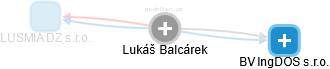 Lukáš Balcárek - Vizualizace  propojení osoby a firem v obchodním rejstříku