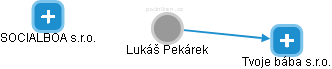Lukáš Pekárek - Vizualizace  propojení osoby a firem v obchodním rejstříku