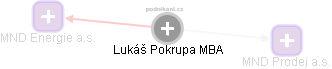  Lukáš P. - Vizualizace  propojení osoby a firem v obchodním rejstříku