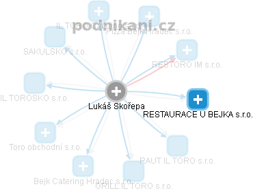 Lukáš Skořepa - Vizualizace  propojení osoby a firem v obchodním rejstříku
