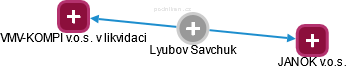 Lyubov Savchuk - Vizualizace  propojení osoby a firem v obchodním rejstříku