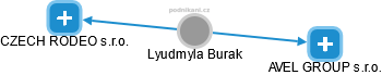 Lyudmyla Burak - Vizualizace  propojení osoby a firem v obchodním rejstříku