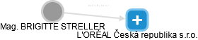  Streller B. - Vizualizace  propojení osoby a firem v obchodním rejstříku
