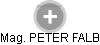 PETER FALB - Vizualizace  propojení osoby a firem v obchodním rejstříku