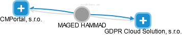 MAGED HAMMAD - Vizualizace  propojení osoby a firem v obchodním rejstříku