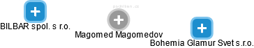 Magomed Magomedov - Vizualizace  propojení osoby a firem v obchodním rejstříku