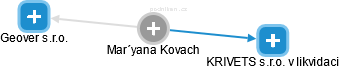 Mar´yana Kovach - Vizualizace  propojení osoby a firem v obchodním rejstříku