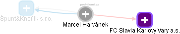 Marcel Harvánek - Vizualizace  propojení osoby a firem v obchodním rejstříku