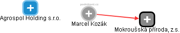 Marcel Kozák - Vizualizace  propojení osoby a firem v obchodním rejstříku