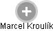 Marcel Kroulík - Vizualizace  propojení osoby a firem v obchodním rejstříku
