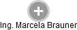  Marcela B. - Vizualizace  propojení osoby a firem v obchodním rejstříku