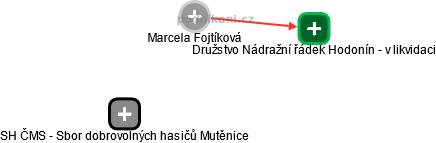 Marcela Fojtíková - Vizualizace  propojení osoby a firem v obchodním rejstříku