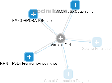 Marcela Frei - Vizualizace  propojení osoby a firem v obchodním rejstříku