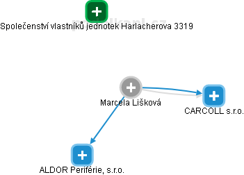 Marcela Lišková - Vizualizace  propojení osoby a firem v obchodním rejstříku