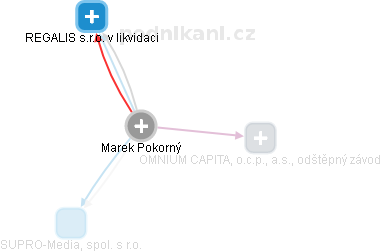 Marek Pokorný - Vizualizace  propojení osoby a firem v obchodním rejstříku