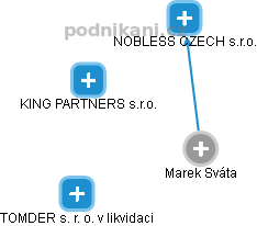 Marek Sváta - Vizualizace  propojení osoby a firem v obchodním rejstříku