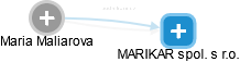 Maria Maliarova - Vizualizace  propojení osoby a firem v obchodním rejstříku