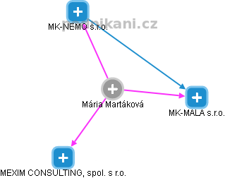 Mária Martáková - Vizualizace  propojení osoby a firem v obchodním rejstříku