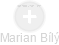 Marian Bílý - Vizualizace  propojení osoby a firem v obchodním rejstříku