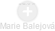 Marie Balejová - Vizualizace  propojení osoby a firem v obchodním rejstříku