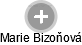 Marie Bizoňová - Vizualizace  propojení osoby a firem v obchodním rejstříku