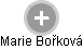 Marie Bořková - Vizualizace  propojení osoby a firem v obchodním rejstříku