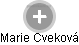 Marie Cveková - Vizualizace  propojení osoby a firem v obchodním rejstříku