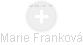 Marie Franková - Vizualizace  propojení osoby a firem v obchodním rejstříku