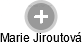 Marie Jiroutová - Vizualizace  propojení osoby a firem v obchodním rejstříku