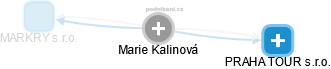 Marie Kalinová - Vizualizace  propojení osoby a firem v obchodním rejstříku