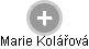 Marie Kolářová - Vizualizace  propojení osoby a firem v obchodním rejstříku