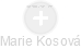 Marie Kosová - Vizualizace  propojení osoby a firem v obchodním rejstříku