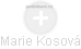 Marie Kosová - Vizualizace  propojení osoby a firem v obchodním rejstříku