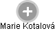 Marie Kotalová - Vizualizace  propojení osoby a firem v obchodním rejstříku