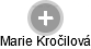 Marie Kročilová - Vizualizace  propojení osoby a firem v obchodním rejstříku