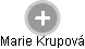 Marie Krupová - Vizualizace  propojení osoby a firem v obchodním rejstříku