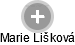 Marie Lišková - Vizualizace  propojení osoby a firem v obchodním rejstříku