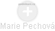  Marie Pechová - Vizualizace  propojení osoby a firem v obchodním rejstříku