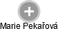Marie Pekařová - Vizualizace  propojení osoby a firem v obchodním rejstříku