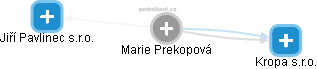 Marie Prekopová - Vizualizace  propojení osoby a firem v obchodním rejstříku