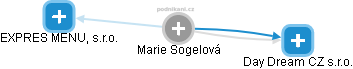 Marie Sogelová - Vizualizace  propojení osoby a firem v obchodním rejstříku
