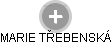  Třebenská M. - Vizualizace  propojení osoby a firem v obchodním rejstříku