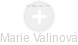 Marie Valinová - Vizualizace  propojení osoby a firem v obchodním rejstříku