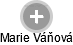 Marie Váňová - Vizualizace  propojení osoby a firem v obchodním rejstříku
