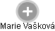 Marie Vašková - Vizualizace  propojení osoby a firem v obchodním rejstříku