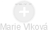Marie Vlková - Vizualizace  propojení osoby a firem v obchodním rejstříku