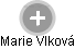 Marie Vlková - Vizualizace  propojení osoby a firem v obchodním rejstříku