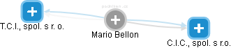 Mario Bellon - Vizualizace  propojení osoby a firem v obchodním rejstříku