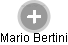 Mario Bertini - Vizualizace  propojení osoby a firem v obchodním rejstříku